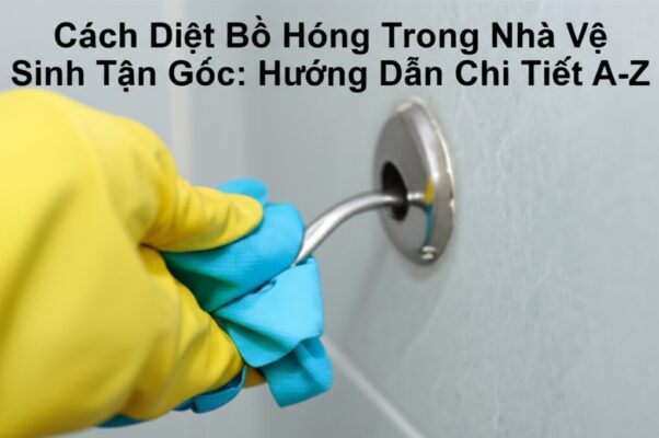 Cách Diệt Bồ Hóng Trong Nhà Vệ Sinh Tận Gốc: Hướng Dẫn Chi Tiết A-Z