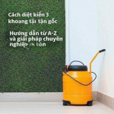 Cách diệt kiến 3 khoang tận gốc: Hướng dẫn từ A-Z và giải pháp chuyên nghiệp an toàn