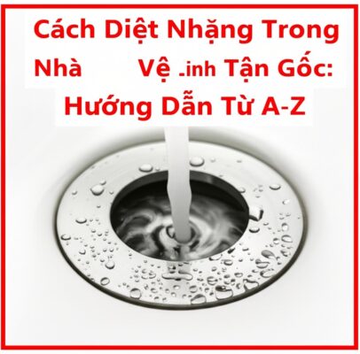 Cách Diệt Nhặng Trong Nhà Vệ Sinh Tận Gốc: Hướng Dẫn Từ A-Z