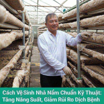 Cách Vệ Sinh Nhà Nấm Chuẩn Kỹ Thuật: Tăng Năng Suất, Giảm Rủi Ro Dịch Bệnh